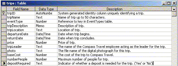 This image shows a picture of the Trips table.