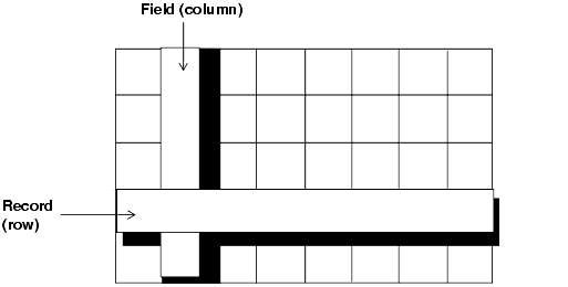 This image defines the structure of a database table, and shows the location of fields and records.